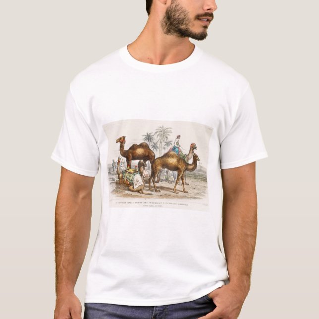 Kamel aus Bactrian, arabisches Kamel oder Dromedar T-Shirt (Vorderseite)