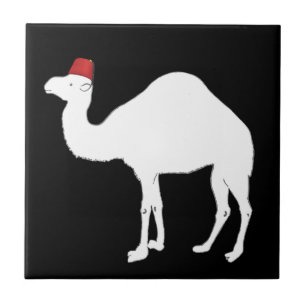Kamel, das ein Fez trägt Fliese