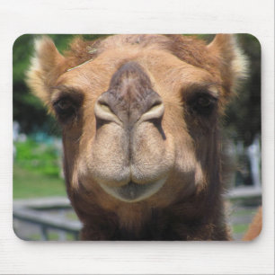 Kamel-Gesicht Mousepad