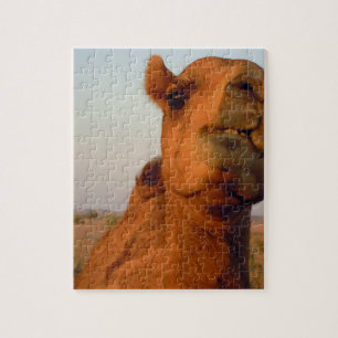 Kamel in Wüste 2 Puzzle
