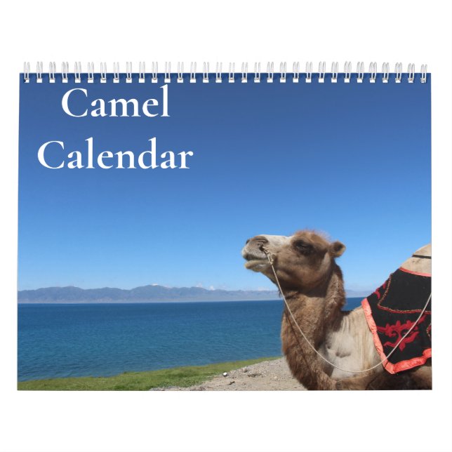 Kamel-Kalender 2027 Kalender (Titelbild)