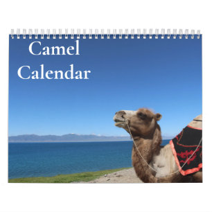 Kamel-Kalender 2027 Kalender