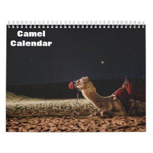 Kamel-Kalender Kalender