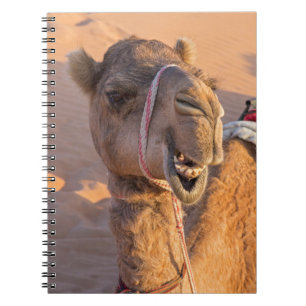 Kamel mit einem lustigen Gesichtsausdruck - Oman Notizblock