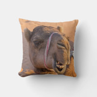 Kamel mit lustigem Gesichtsausdruck - Oman