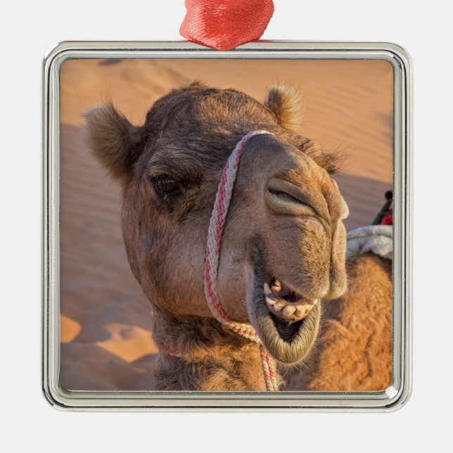 Kamel mit lustigem Gesichtsausdruck - Oman Ornament Aus Metall (Vorne)