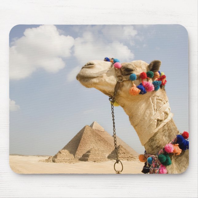 Kamel mit Pyramids Gizeh, Ägypten Mousepad (Vorne)