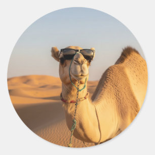 Kamel mit Sonnenbrille Saudi Arabien Reisen Runder Aufkleber