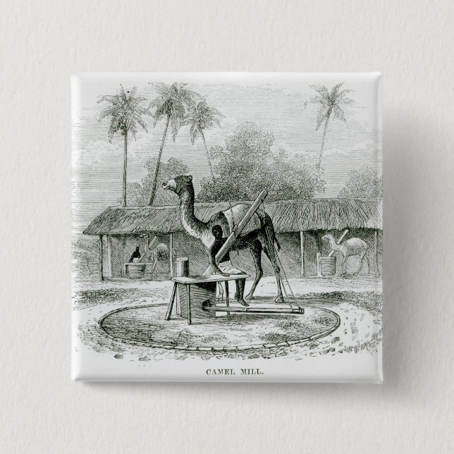 Kamel-Mühle, 'von den Reisen in Africa Button (Vorderseite)