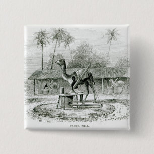 Kamel-Mühle, 'von den Reisen in Africa Button