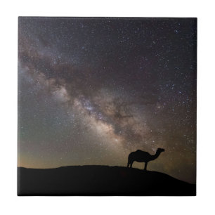 Kamel Silhouette und Milkyway Fliese