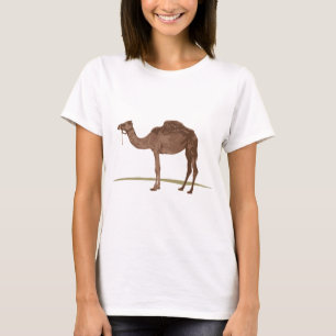 Kamel T-Shirt