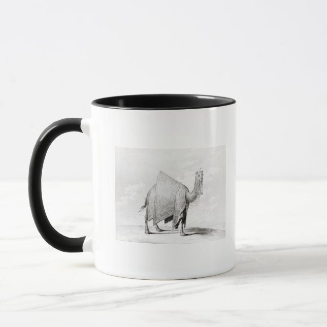 Kamel Tasse (Links)