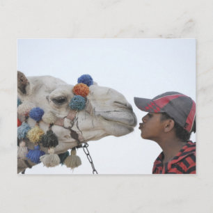 Kamel und Junge Postkarte