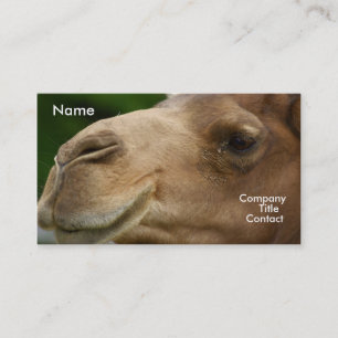 Kamel-Visitenkarte Visitenkarte