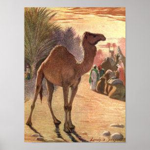 Kamel von Louis Sargent, Vintage Wilde Tiere Poster