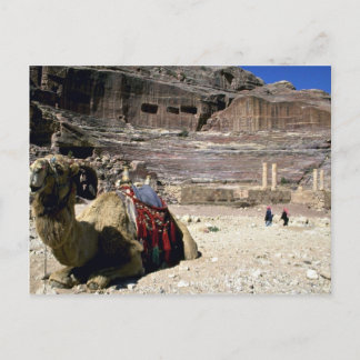 Kamel vor dem römischen Theater, Jordanien Postkarte