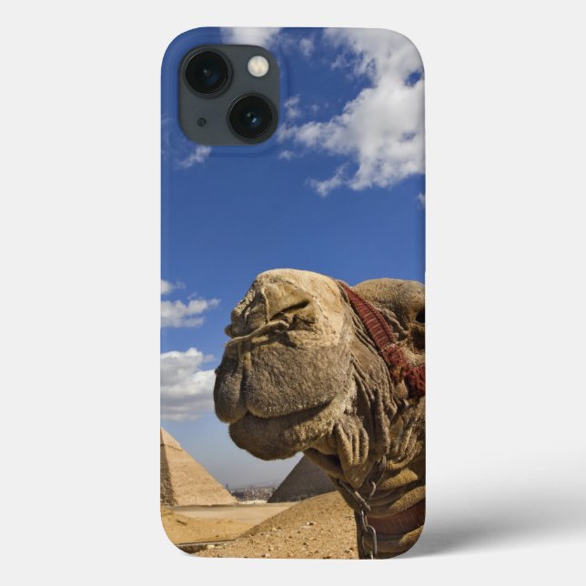 Kamel vor den Pyramiden von Giseh, Ägypten, Case-Mate iPhone Hülle (Rückseite)