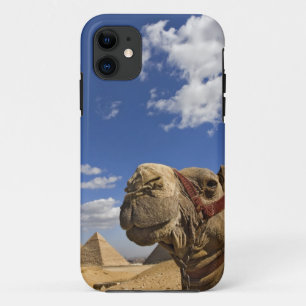 Kamel vor den Pyramiden von Giza, Ägypten, Case-Mate iPhone Hülle