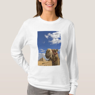 Kamel vor den Pyramiden von Giza, Ägypten, T-Shirt