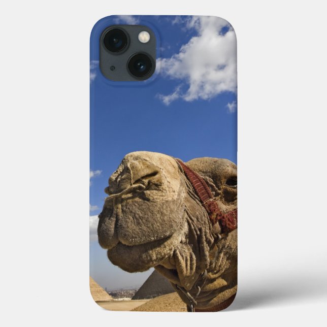 Kamel vor den Pyramiden von Gizeh, Ägypten, Case-Mate iPhone Hülle (Rückseite)