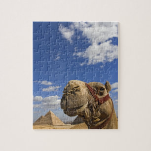Kamel vor den Pyramiden von Gizeh, Ägypten, Puzzle