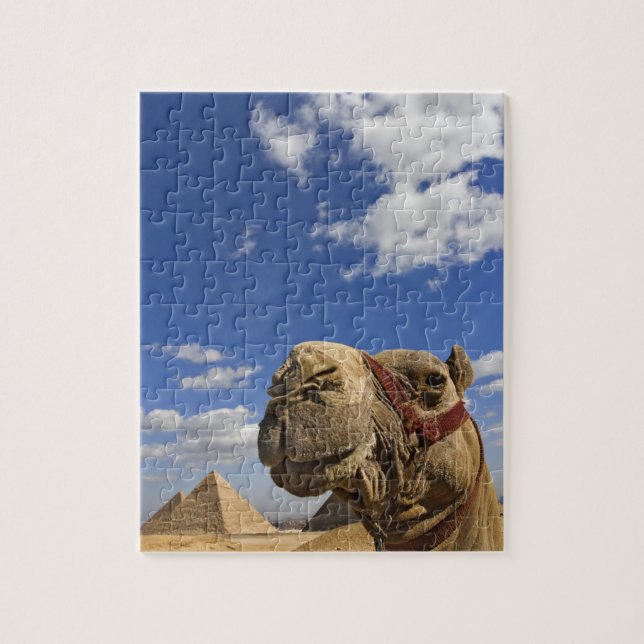 Kamel vor den Pyramiden von Gizeh, Ägypten, Puzzle (Vertikal)