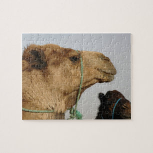Kamel-Wüsten-Osten-FriedensLiebe-Natur-Schicksal Puzzle