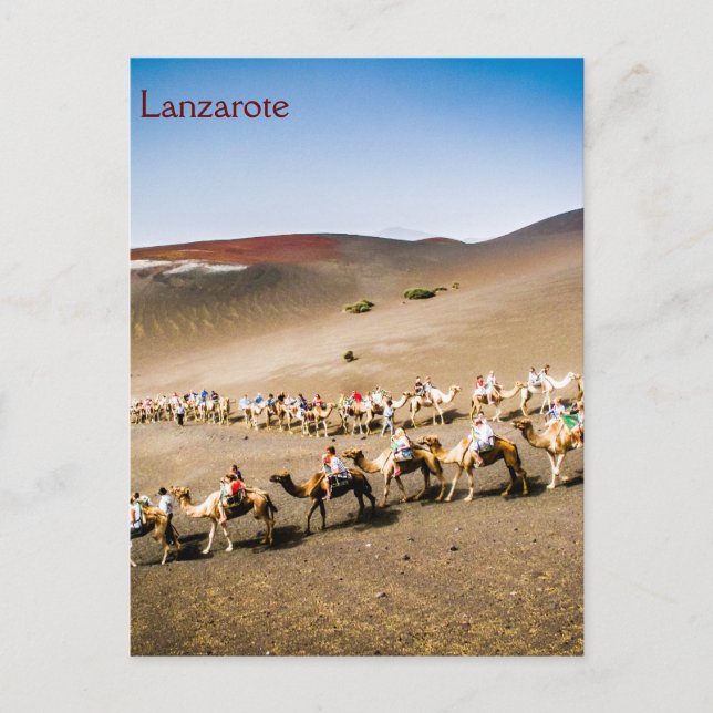 Kamelbahn auf Lanzarote Postkarte (Vorderseite)