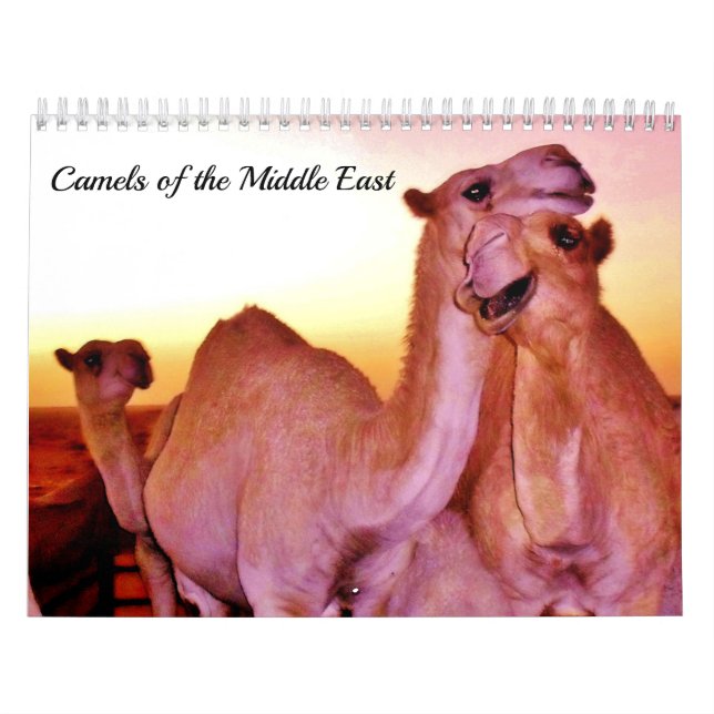 Kamele des Mittlere Ostens Kalender (Titelbild)