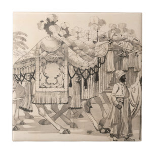 Kamele, die in Kostümen verkleidet sind Fliese