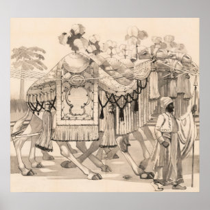 Kamele, die in Kostümen verkleidet sind Poster