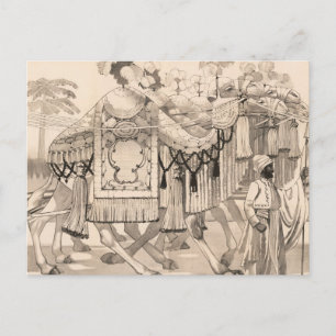 Kamele, die in Kostümen verkleidet sind Postkarte