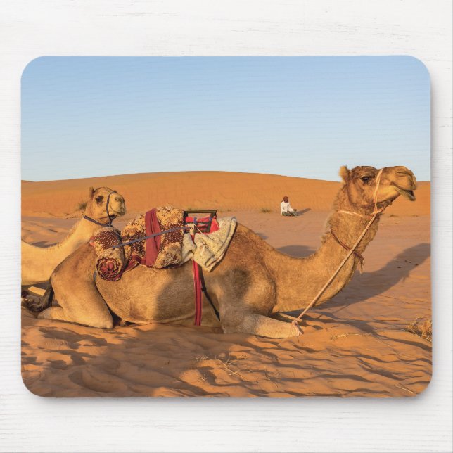 Kamele in der Oman-Wüste Mousepad (Vorne)