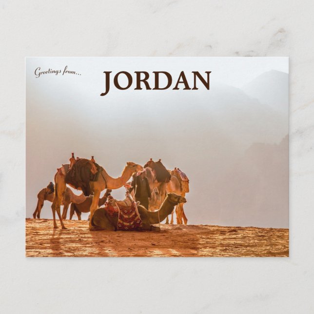 Kamele in der Wüste Jordaniens Postkarte (Vorderseite)