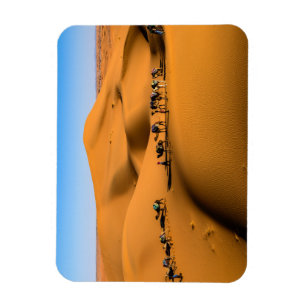 Kamele in der Wüste unter blauem Himmel Magnet