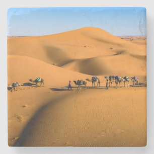 Kamele in der Wüste unter blauem Himmel Steinuntersetzer