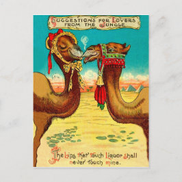 Kamele in Liebe, lustige Vintage St. Valentine Postkarte