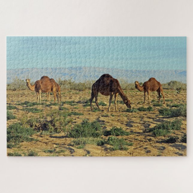 Kamele, Tunesien 1014-pc Puzzle (Horizontal)