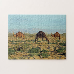 Kamele, Tunesien 252-pc Puzzle