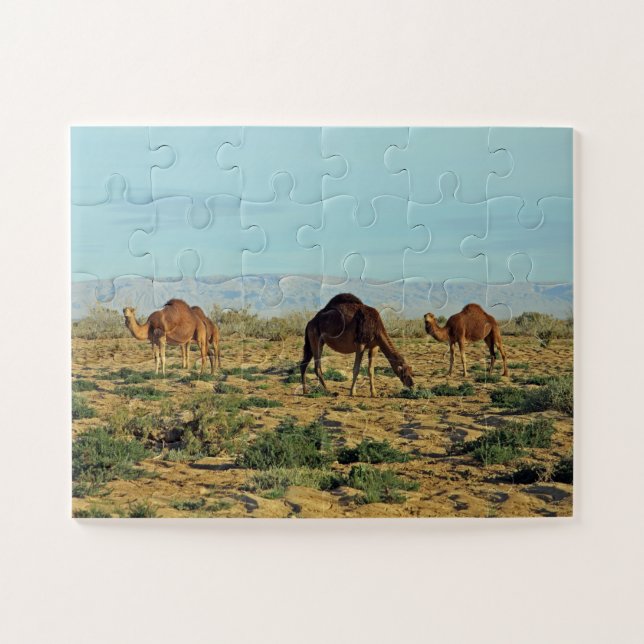 Kamele, Tunesien 30- Puzzle (Horizontal)