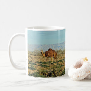 Kamele, Tunesien Kaffeetasse
