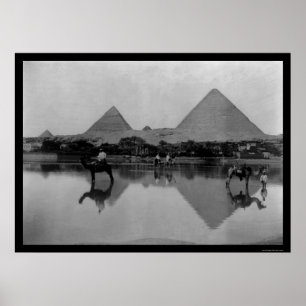 Kamele und Pyramiden in Ägypten 1899 Poster