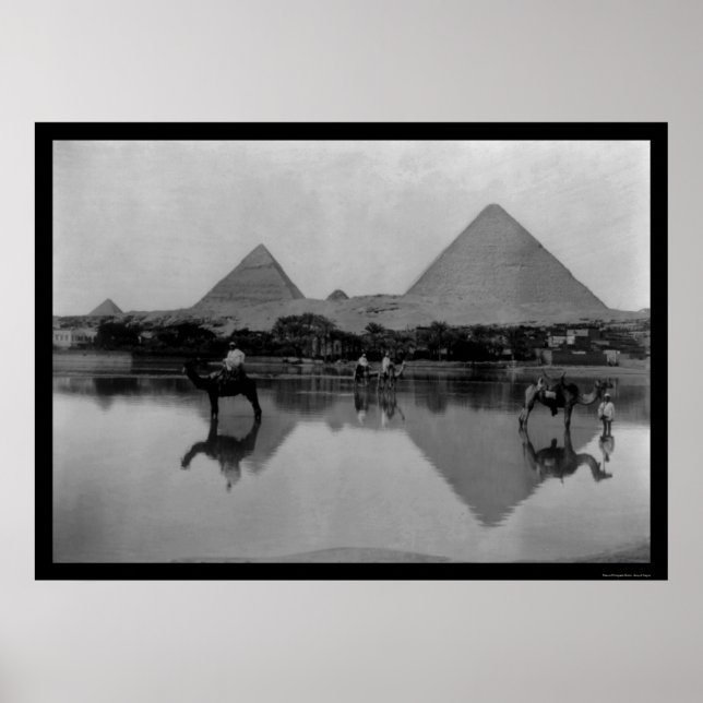 Kamele und Pyramiden in Ägypten 1899 Poster (Vorne)