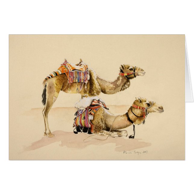 Kamele von PETRA 2007 (Vorderseite (Horizontal))