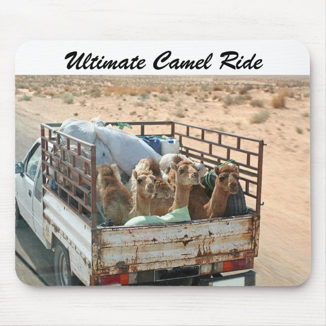 Kamele, welche die Brise im Sahara Mousepad (Vorne)