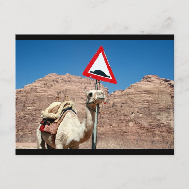 Kamelhöckgrenze Postkarte (Vorderseite)