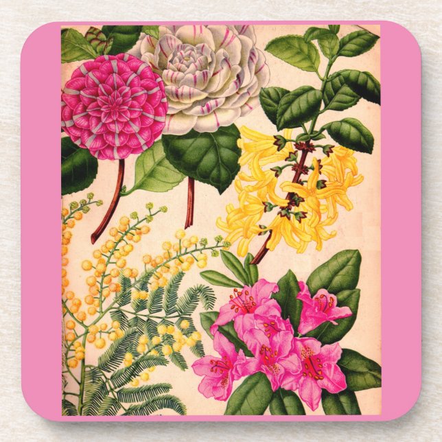 Kamelie, Forsythia, Rhododendron und Akazie Untersetzer (Vorderseite)