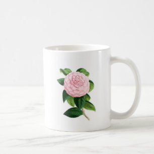 Kamelie, Herzogin von Nassau Tasse