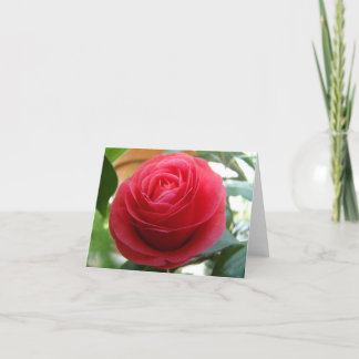 Kamelie Notecard Karte